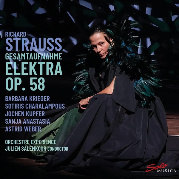 Elektra-par-Julien-Salemkour-credit-Solo-Musica
