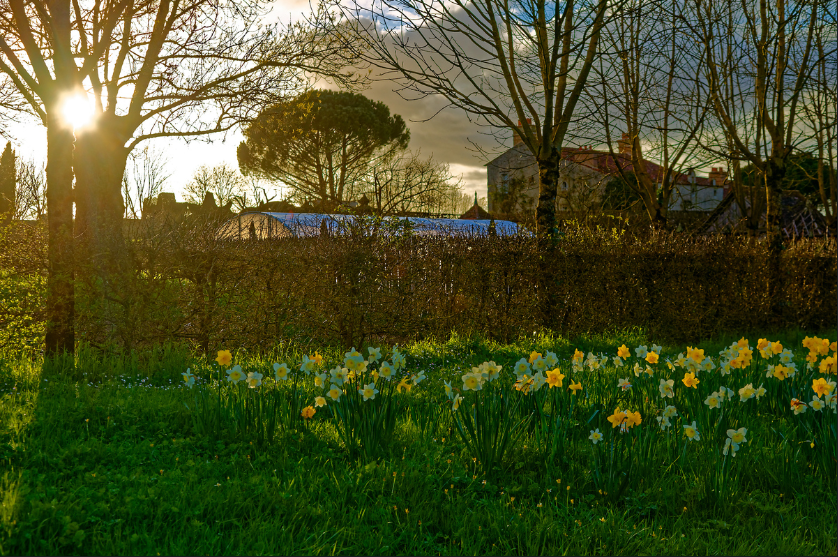 Les jardins de William Christie © Jacky Joccotton