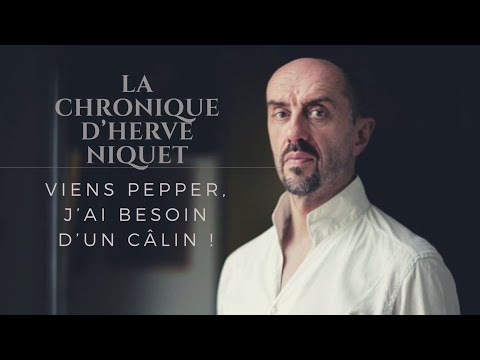 La chronique d'Hervé Niquet : "Viens Pepper, j'ai besoin d'un câlin"