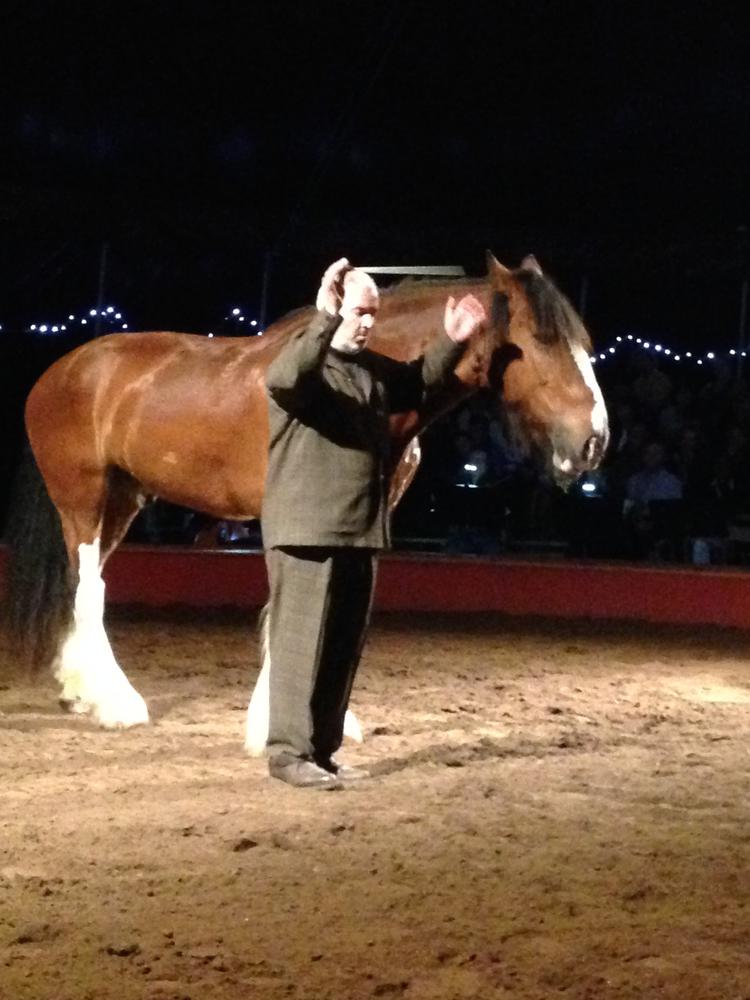 Marc Minkowski et un des chevaux de Bartabas © DR